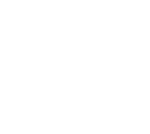 Logo Union Européenne blanc (UE)