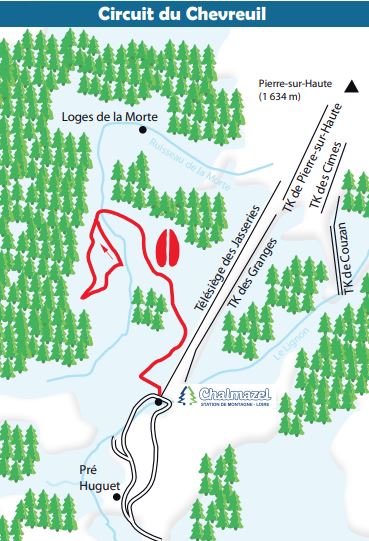 Circuit de raquettes à Chalmazel - Chevreuil