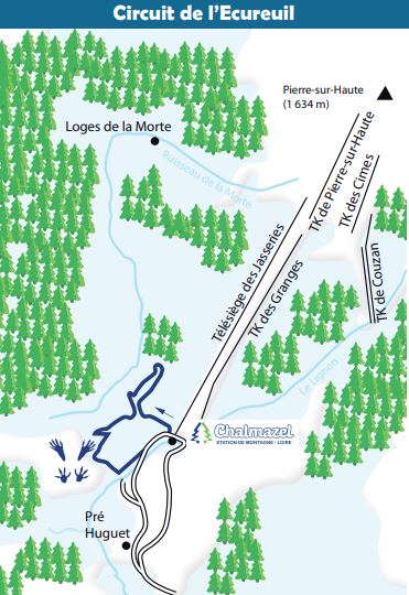 Circuit de raquettes à Chalmazel - Ecureuil